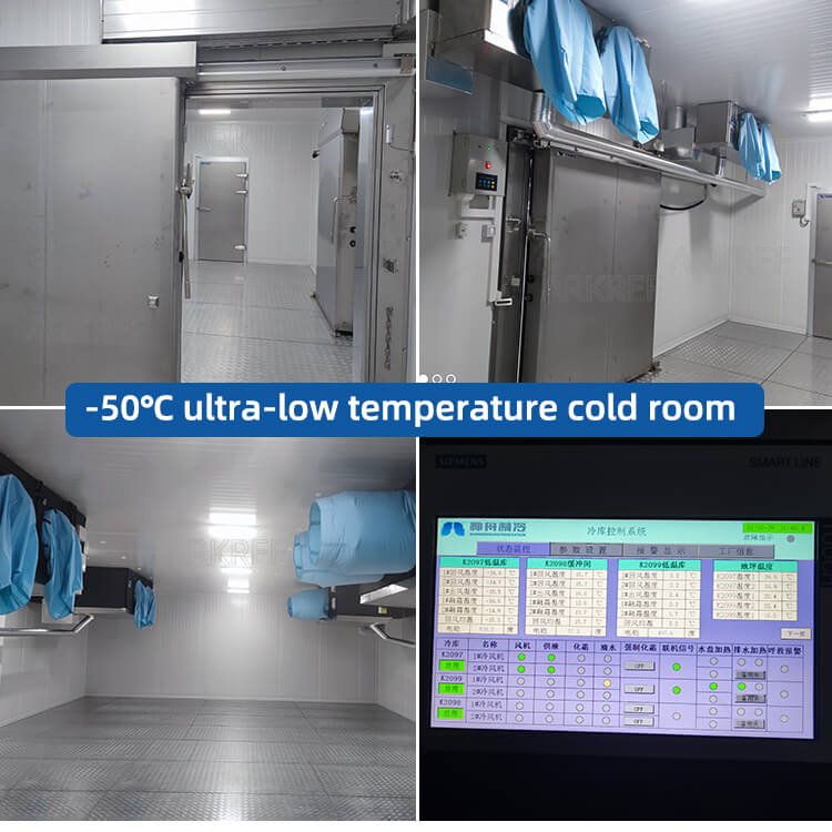 Blast Freezer Roomcold Storage Roomcold Room Storagecold Roomcold Room Pricescold Storage 5703